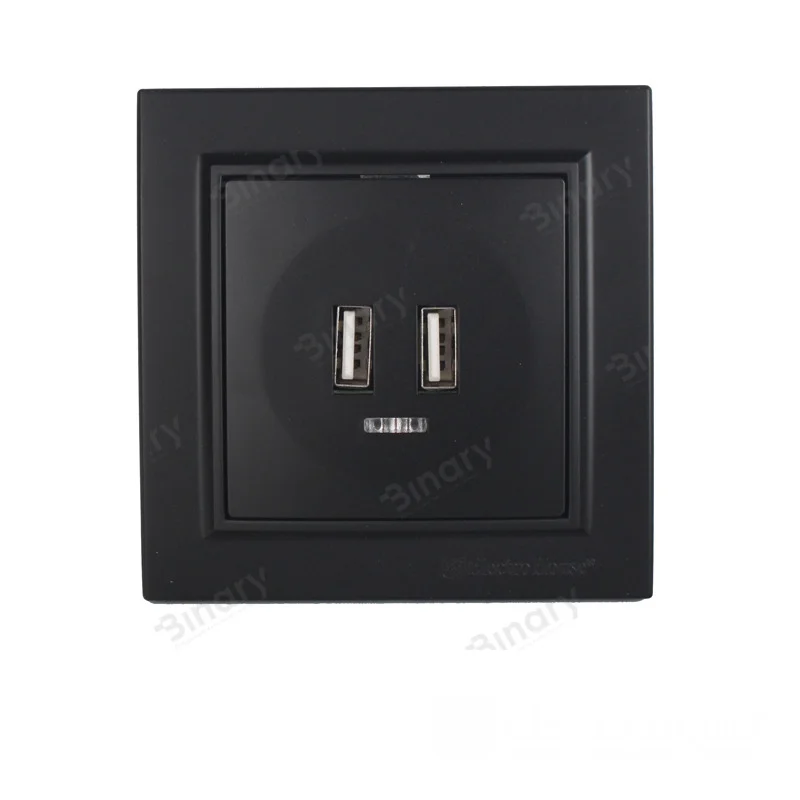 Розетка USB (2 порти) 2 A Графіт