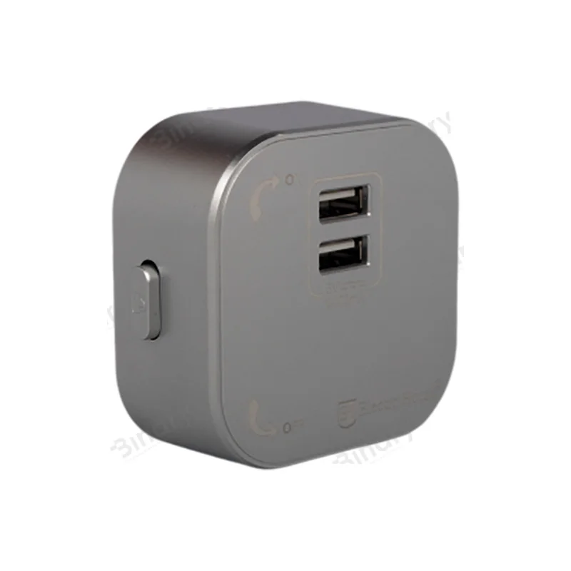 Розетка трекова подвійна USB Pandora (Сірий) 2,4 А